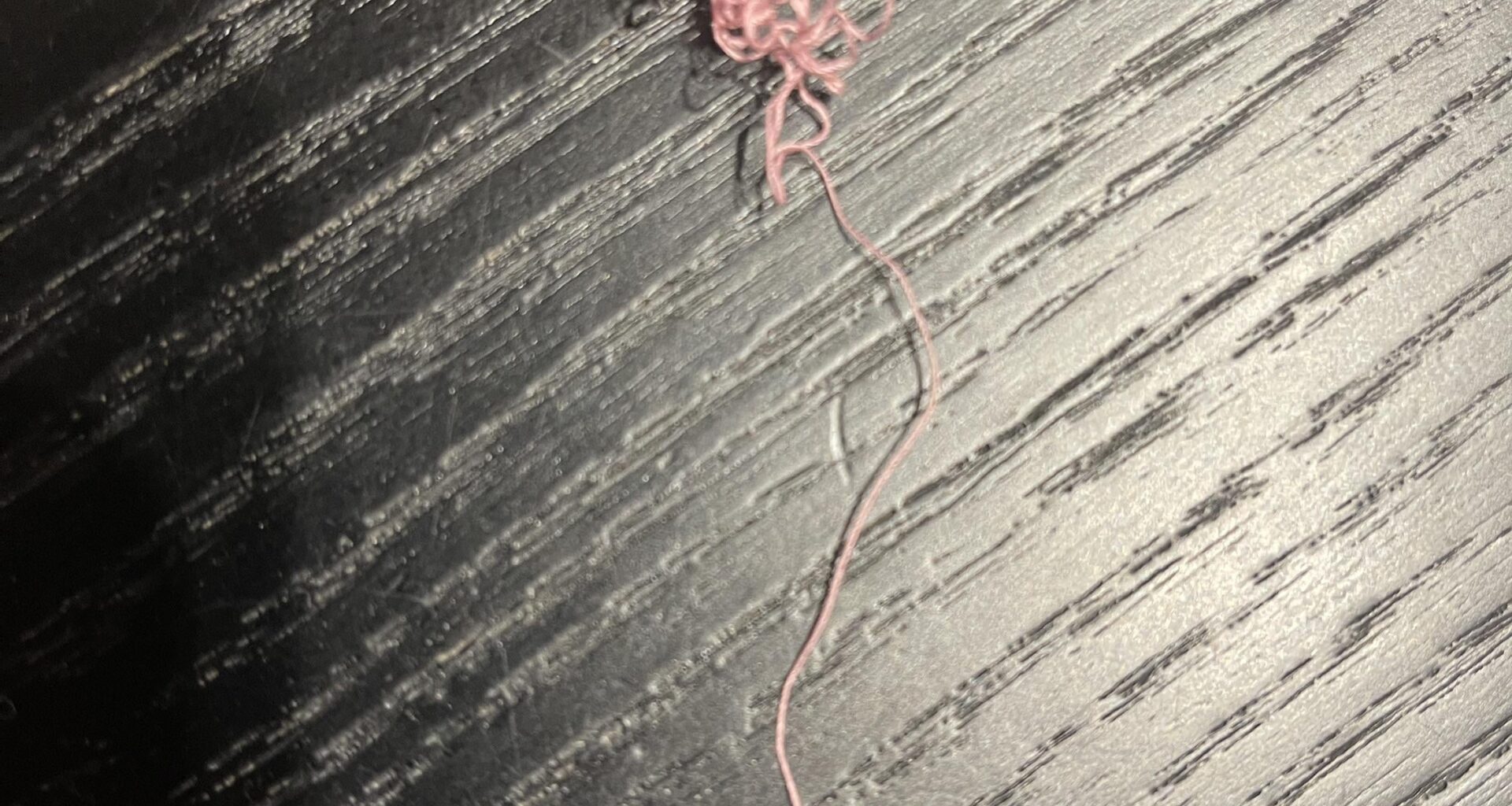 To my fellow pigeon wrangler at South Kensington station today… my souvenir.