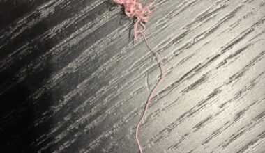 To my fellow pigeon wrangler at South Kensington station today… my souvenir.