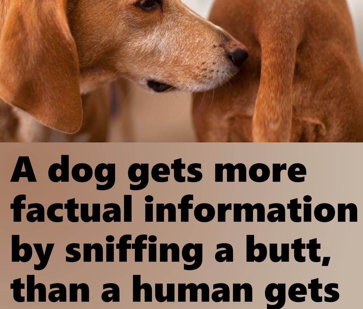 Some things are just obvious...