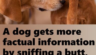 Some things are just obvious...