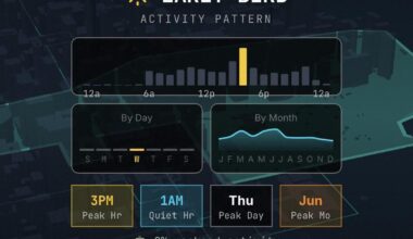 [OC] I made a Wrapped for 6 million 311 complaints