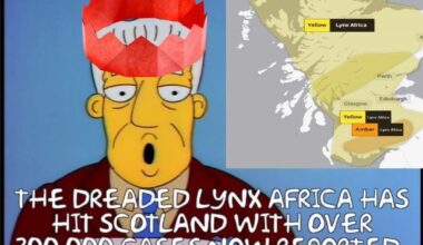 Merry Christmas and Happy Holidays