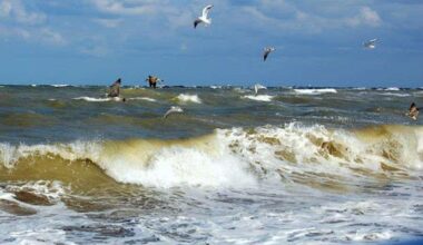 După Vidraru și Paltinu, Marea Neagră va fi golită pentru lucrări de întreținere