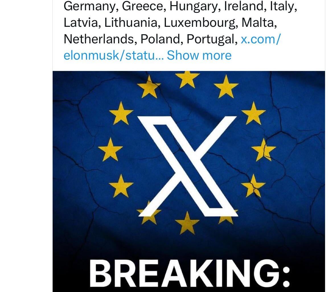 Elon Musk срещу ЕС