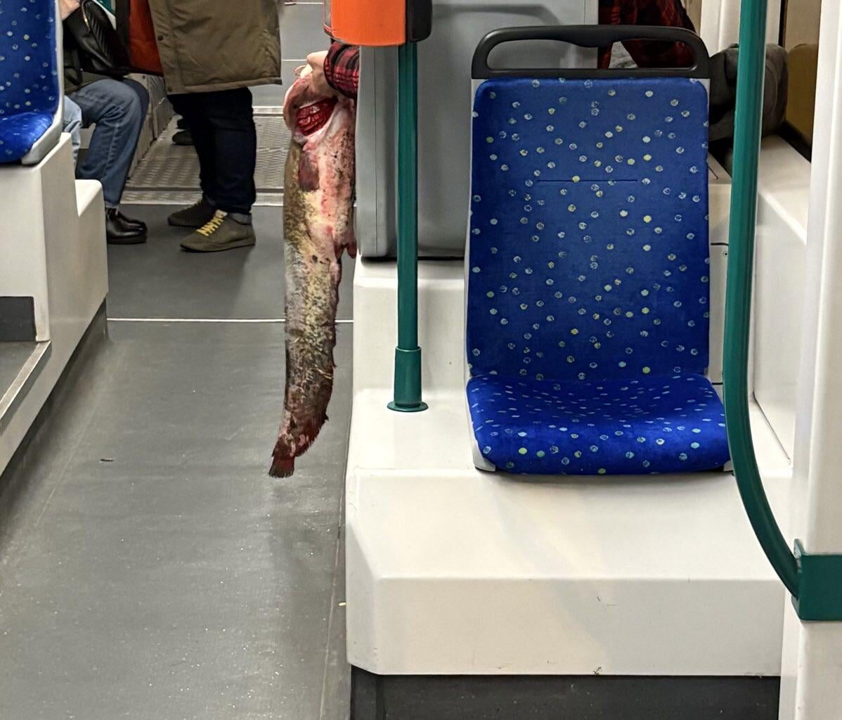 Valakinél lesz hal karácsonyra