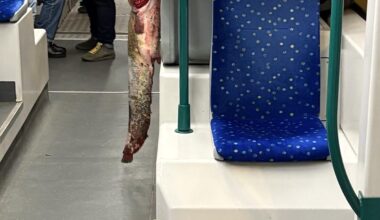 Valakinél lesz hal karácsonyra