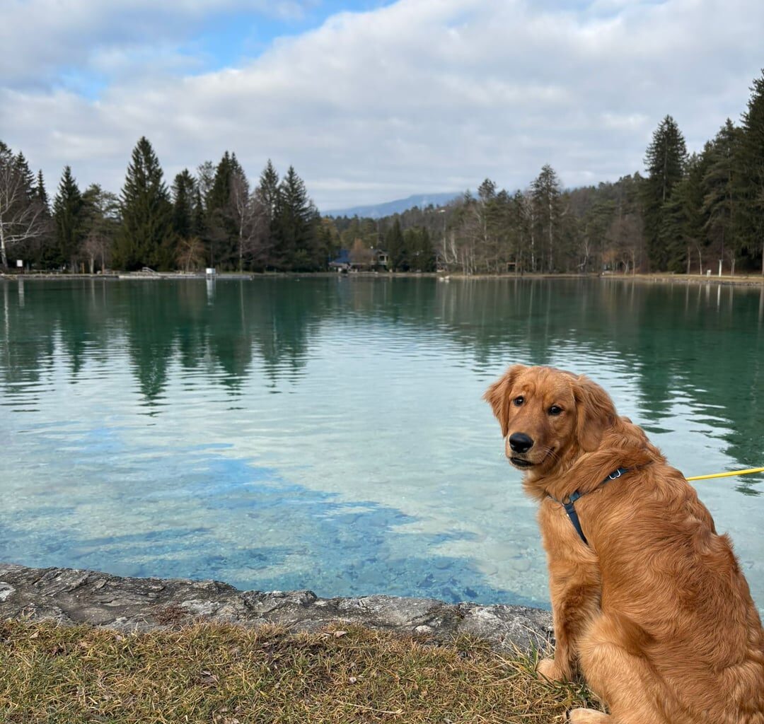 Ima kdo kuza, ki bi se rad igral?
