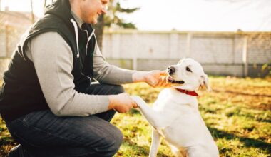 Study reveals pet humanization trends in Lithuania