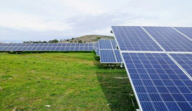 Czechia starts agrivoltaics subsidy programme