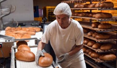 Zamestnanosť v lete opäť klesla