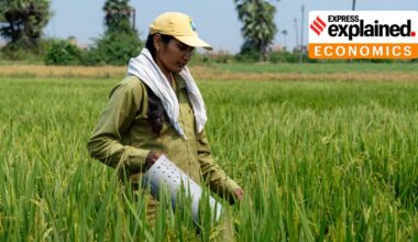 A perforated tube to monitor water levels in a rice field in Telangana.