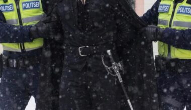 Politsei tabas teolt Toompea lossile Z-tähe sodinud mehe