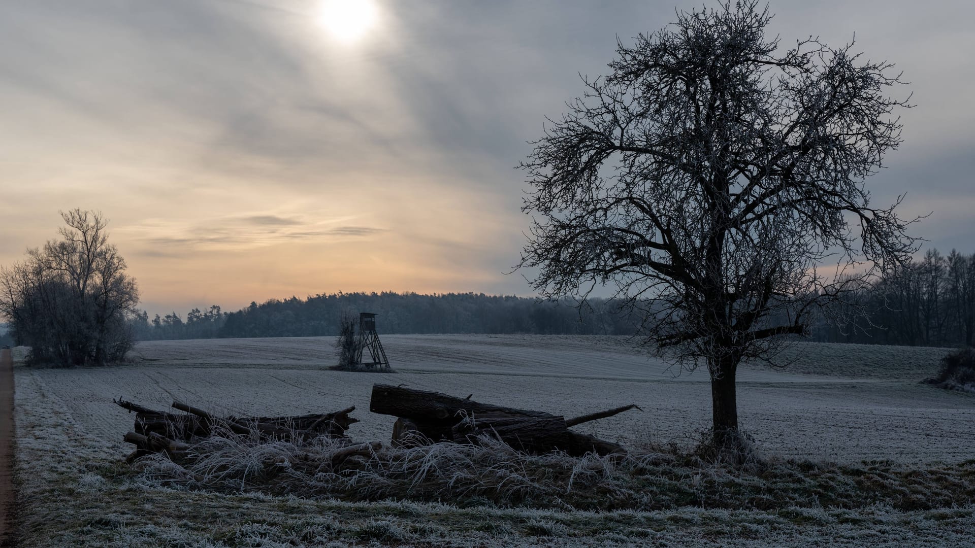 Mit Raureif bedeckte Felder (Archivbild): Das Wetter in Deutschland wird am Wochenende laut Prognosen wieder deutlich kälter. Mit Raureif bedeckte Felder (Archivbild): Das Wetter in Deutschland wird am Wochenende laut Prognosen wieder deutlich kälter.