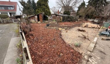 Meine Naturgarten Fläche!