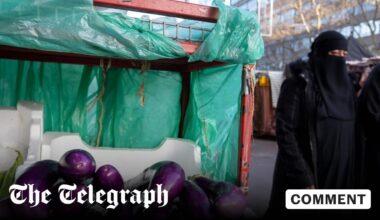 Britain's immigration explosion means we need an emergency census right now