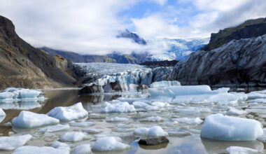 'Attack on Independent Science': Trump EPA Removes All Mention of Human-Caused Climate Crisis From Public Webpages | Common Dreams