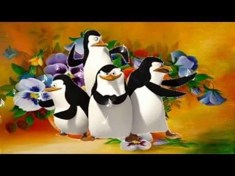 Need help looking for lyrics in a song