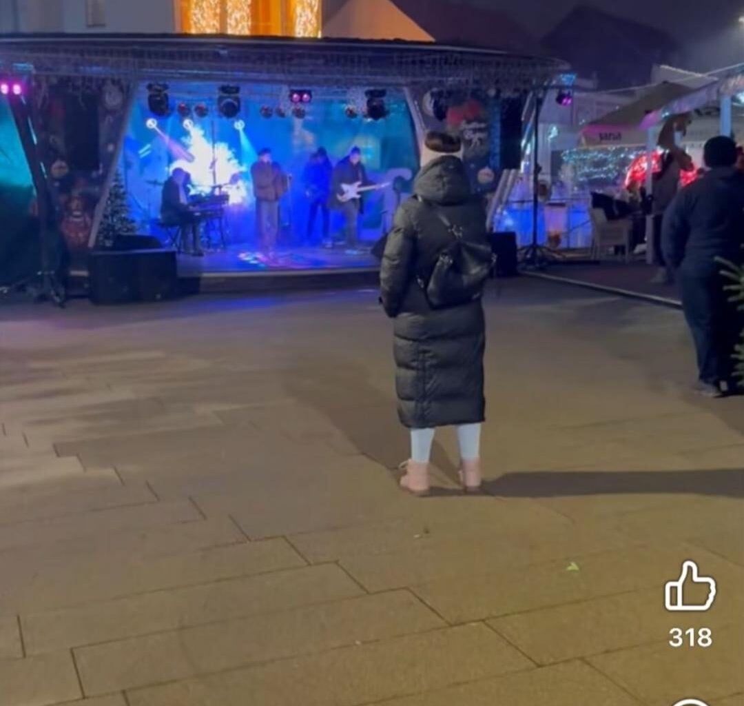 Tko gura Niku Turkovic