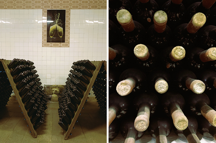 (left) Sparkling Wine Aging Space (right) Vintage Wine Cork Cover Fungi