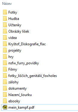 Jak si organizujete soubory? A jaký používáte file manager?