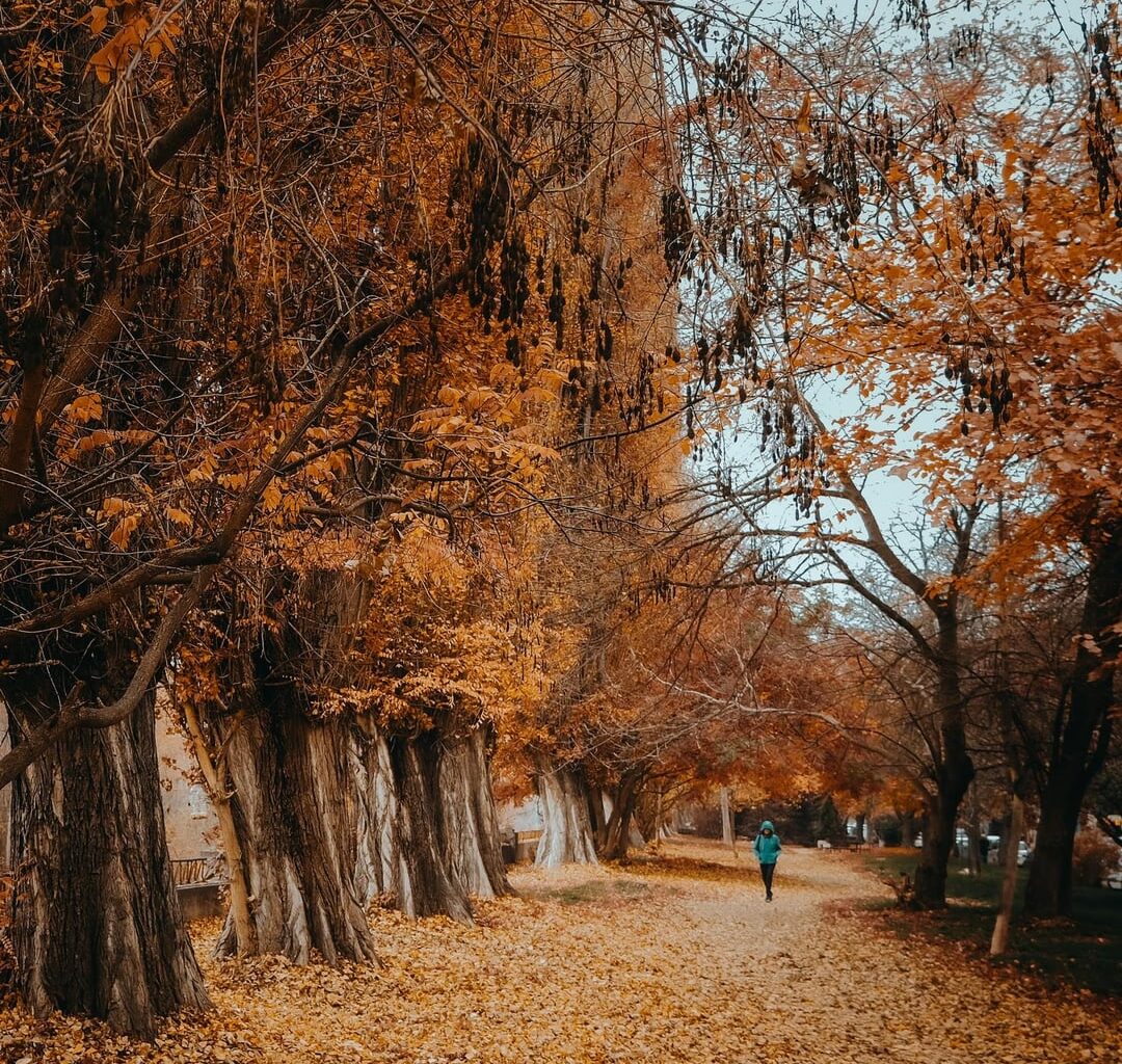 Малко по-мрачен, есенен Пловдив