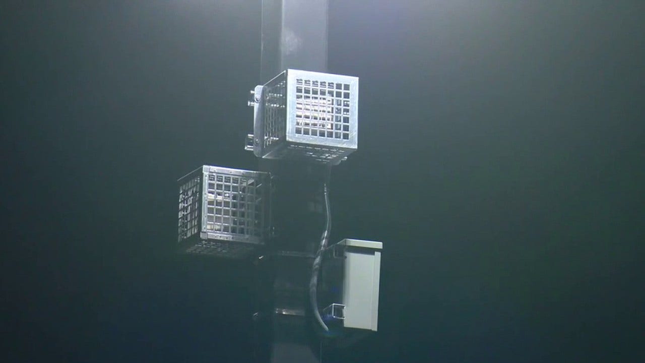 Home Depot denies using high-pitched noise machines to target day laborers at LA store