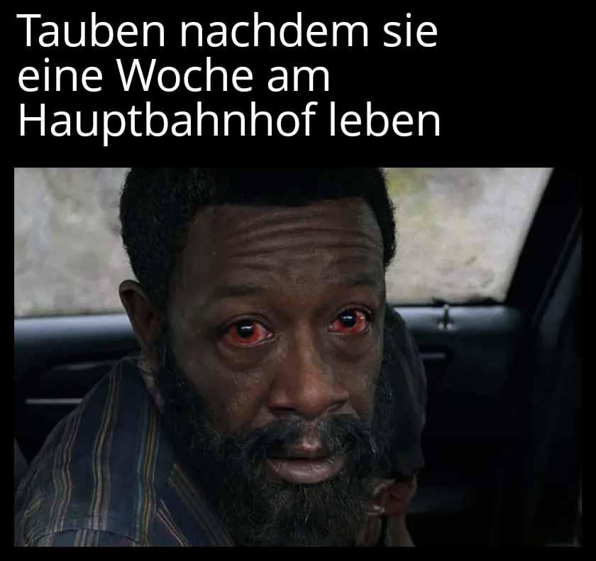 Sie haben alles gesehen