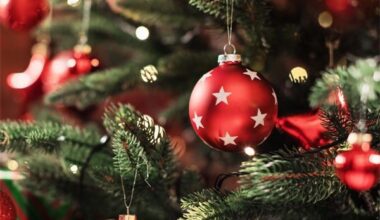 Ma soovin teile ilusaid ja rahulikke jõulupühi teile kõigile!