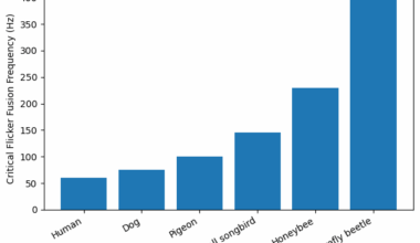 [OC] Critical Flicker Fusion Frequency (Hz) across species — a measure of visual temporal resolution