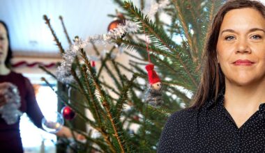 Det här med stressade kvinnor i juletid