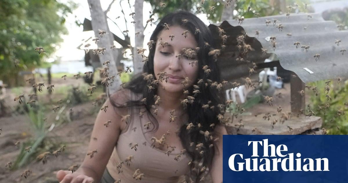 Stingless bees from the Amazon granted legal rights in world first