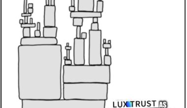 Luxtrust strikes again