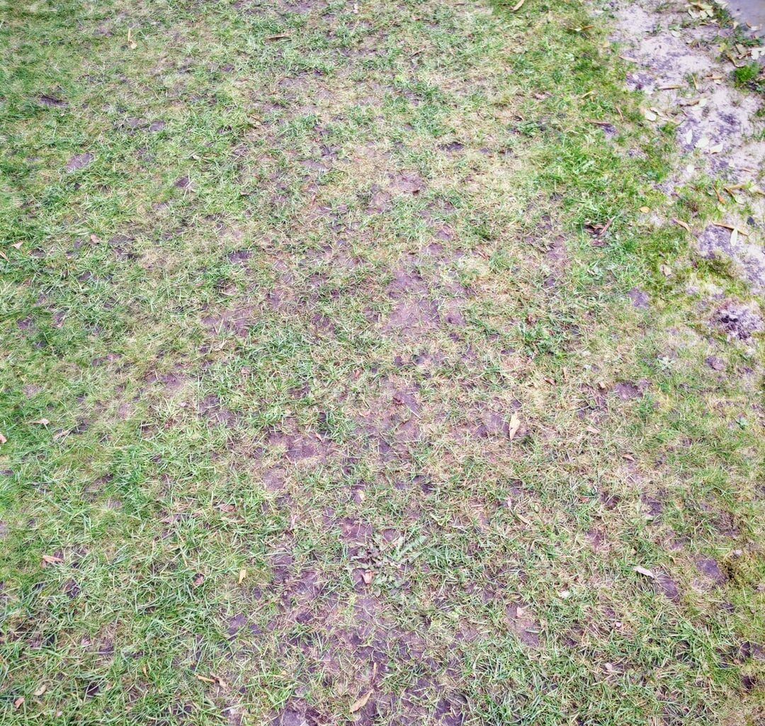 Schäden durch Mähroboter?