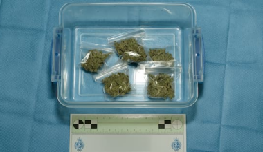 Three arrests after drugs and guns seized in Masterton sting