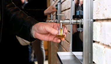 World’s first olive oil fountain opens in Slovenia