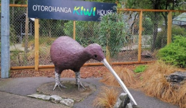 Ōtorohanga Kiwi House faces $15k bill after theft and arson spree