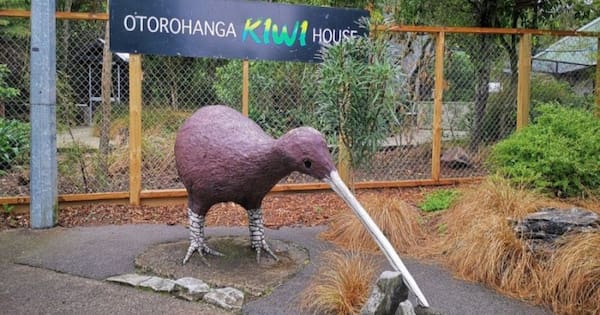 Ōtorohanga Kiwi House faces $15k bill after theft and arson spree