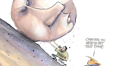 "C'mon Guys..." by Matt Davies for Newsday