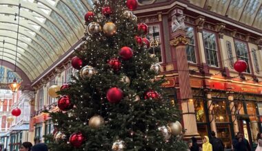 A collection of London Xmas trees