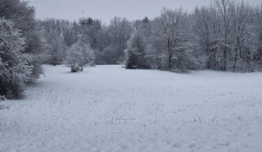 Weiße Weihnachten ❄️☃️