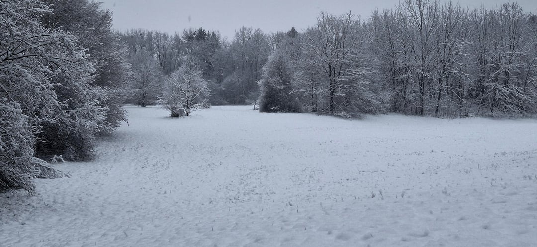 Weiße Weihnachten ❄️☃️