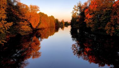 So schön war der Herbst , Foto vom November [ OC ]