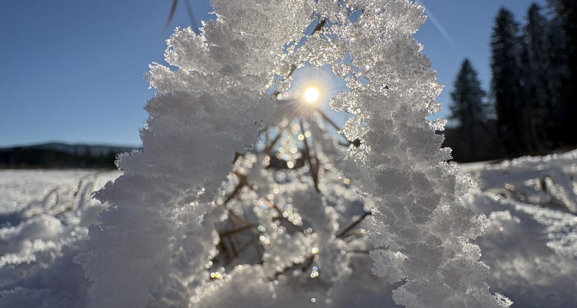 Winter Landschaft❄️