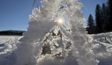 Winter Landschaft❄️