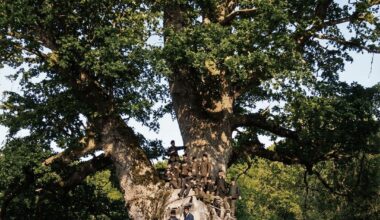1200-year-old oak tree, near Travnik, Bosnia. Colorized photo from 1897. Sadly, in withered in the 1980s.