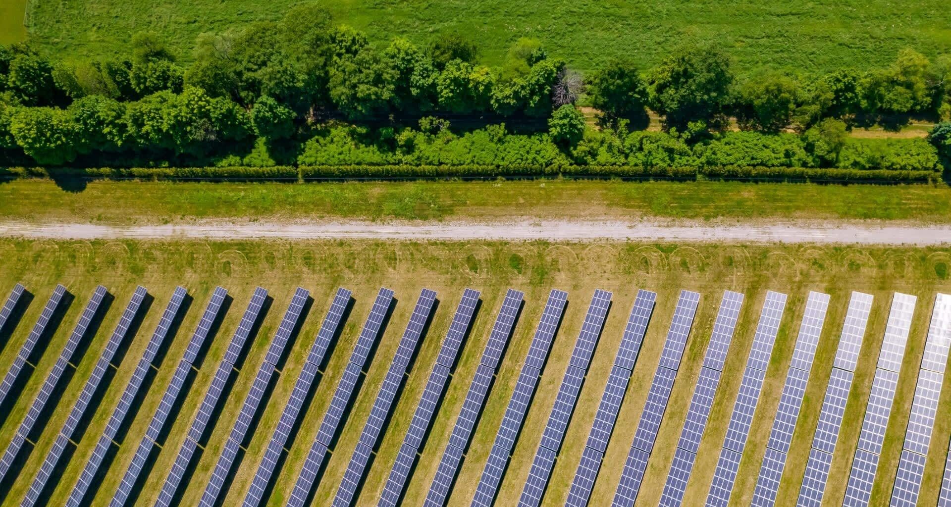 Farmers stunned after unexpected impacts of new solar farm project: 'It's exciting'