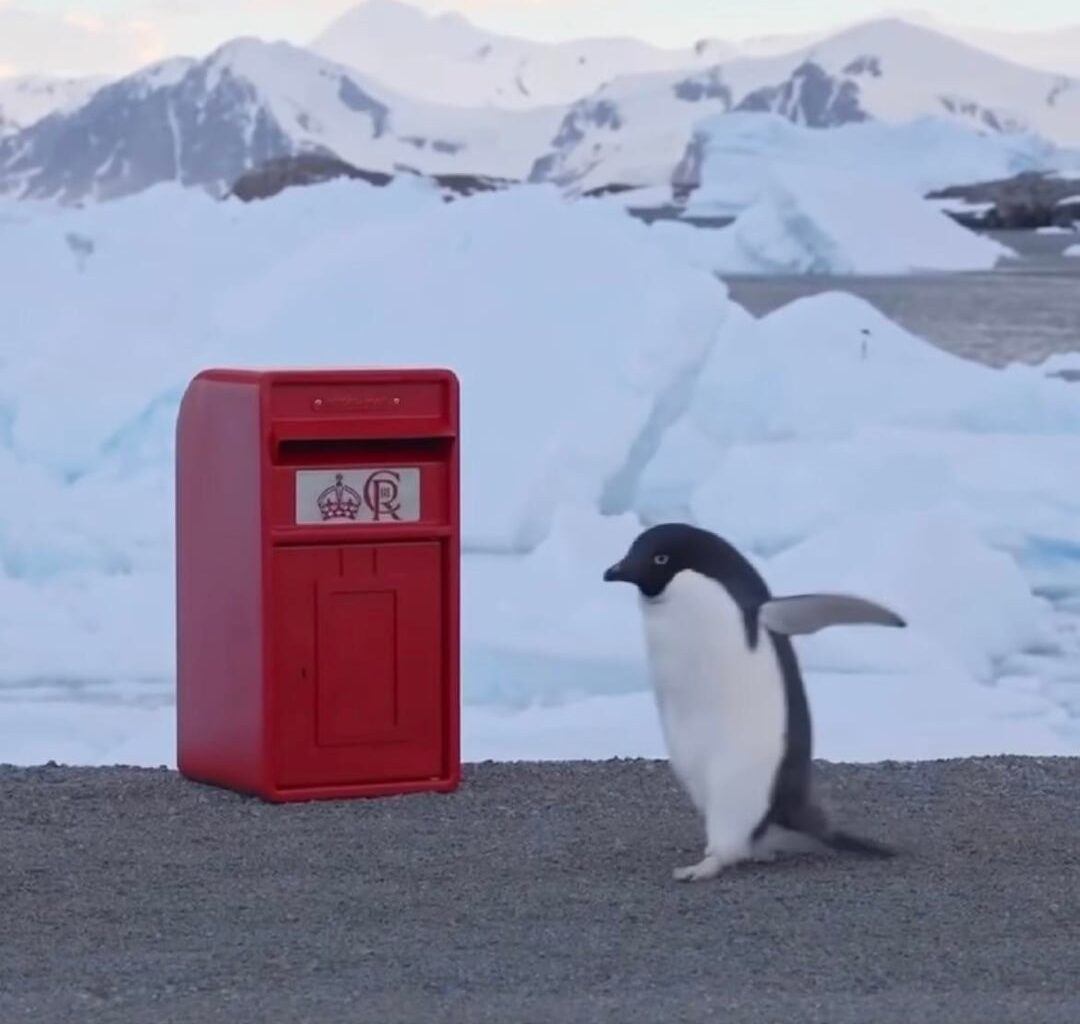 Charles sends new Royal Mail postbox with his cypher to staff at the UK’s research station in Antarctica ‘just in time for Christmas’
