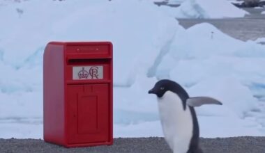 Charles sends new Royal Mail postbox with his cypher to staff at the UK’s research station in Antarctica ‘just in time for Christmas’