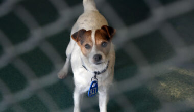 Prince William Living