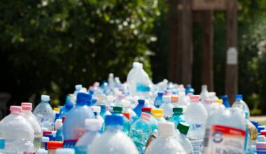 Ein Jahr Plastikflaschen-Pfand in Österreich: Umwelt nicht gerettet, aber Gewissen beruhigt